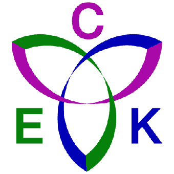 CEK Technology